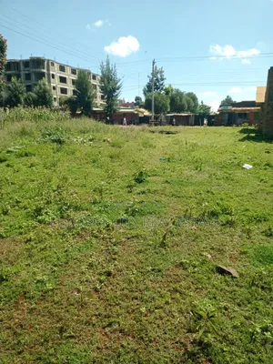 1/4 Plot Kimumu With Title