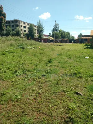 1/4 Plot Kimumu With Title
