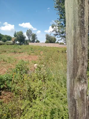 1/4 Plot Kimumu Betterfarm With Title