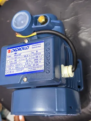 Pedrollo Water Pump
