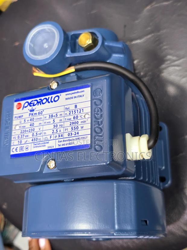 Pedrollo Water Pump