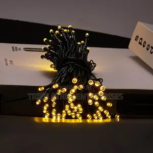 10mtrs Warm White Christmas Lights Kj9
