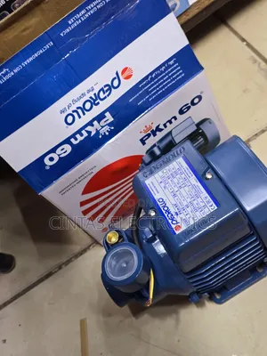 Electric Pedrollo Booster Pump