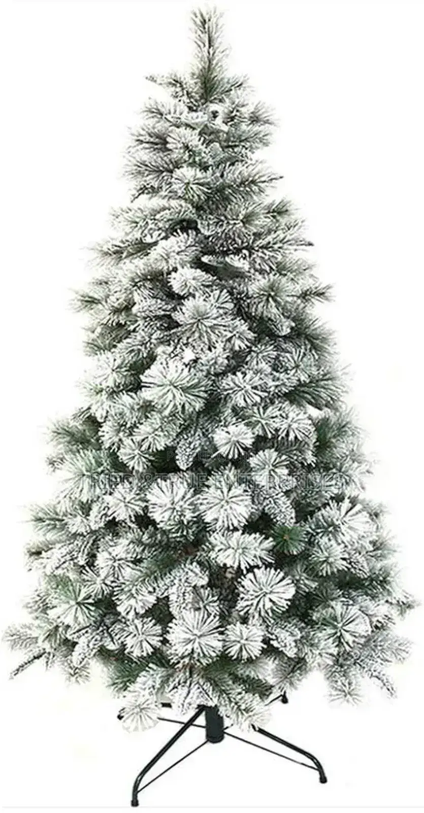 5ft Cyprus Christmas Tree Without Decorations 3wjk