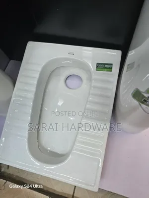 Step Toilet