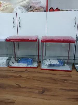 Elegant Imported Curved Aquarium