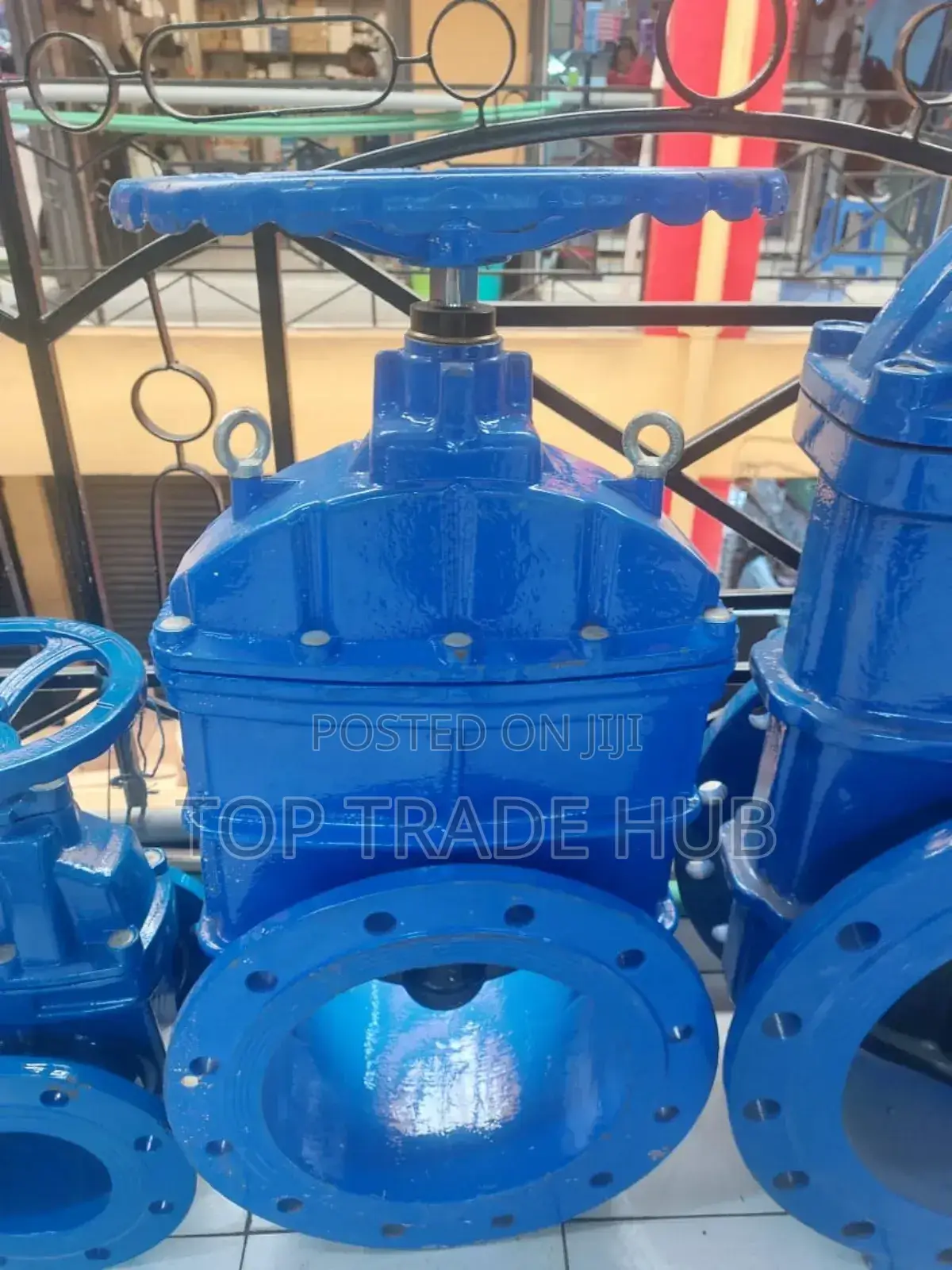 Sluice Valve 8 Inch