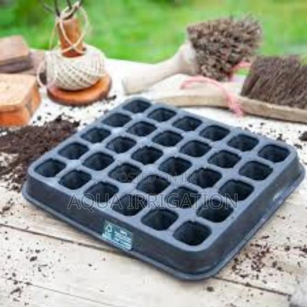 Natural Rubber Seed Trays - main view