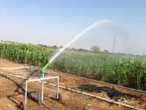 Comparing Rainguns vs Traditional Irrigation System