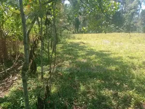 Plot for Sale in Bukura at Inaya Secondary School