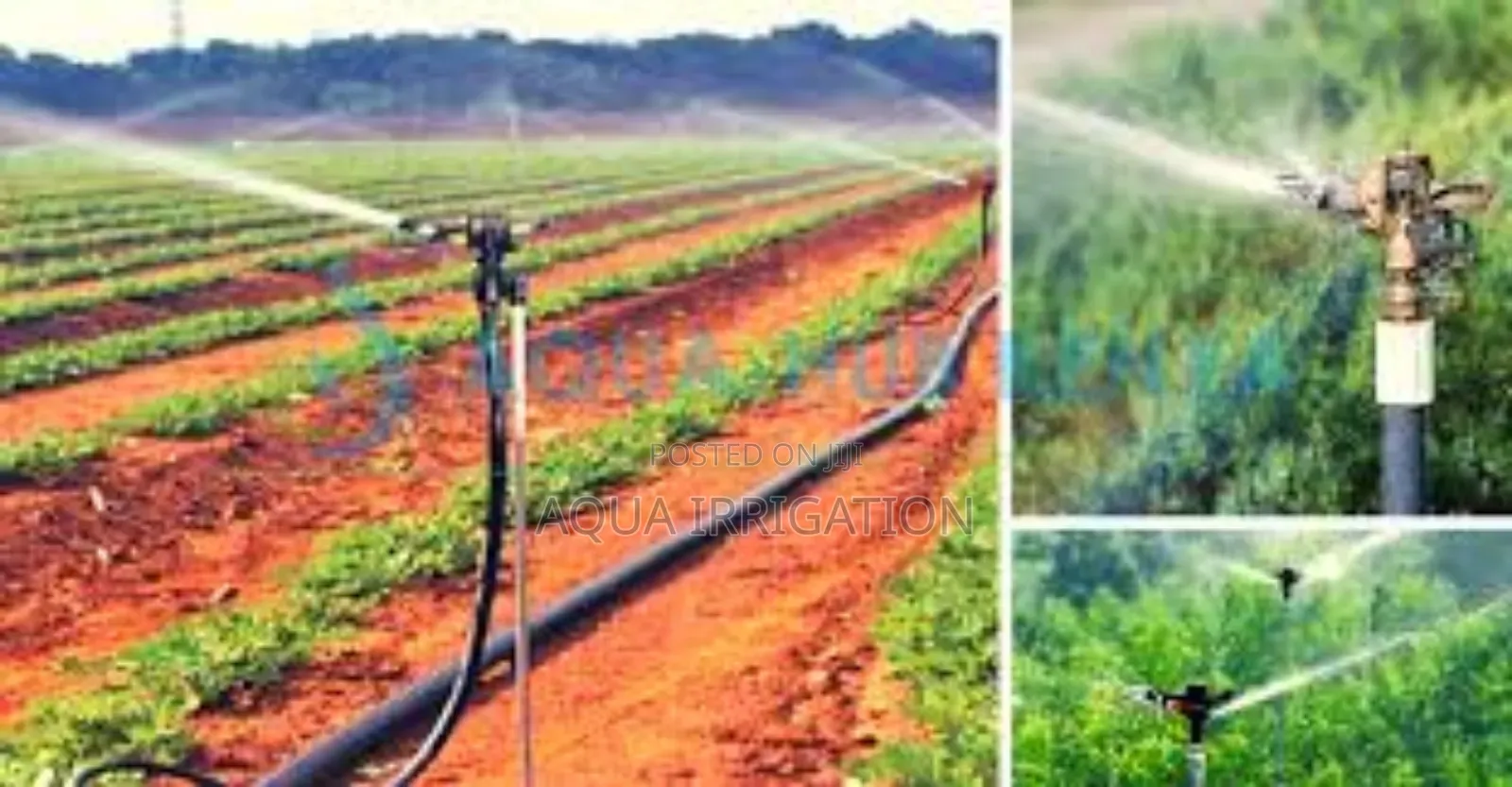 Reliable Overhead Sprinklers for Maximum Yield
