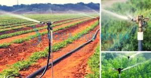 Reliable Overhead Sprinklers for Maximum Yield