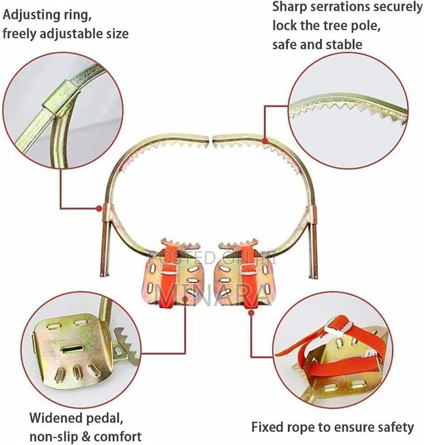 Wooden Pole Climbers - thumbnail 2