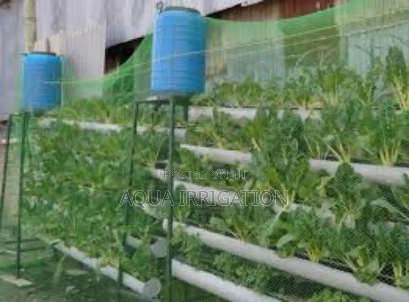 Protect Your Crops With Durable Bird Net