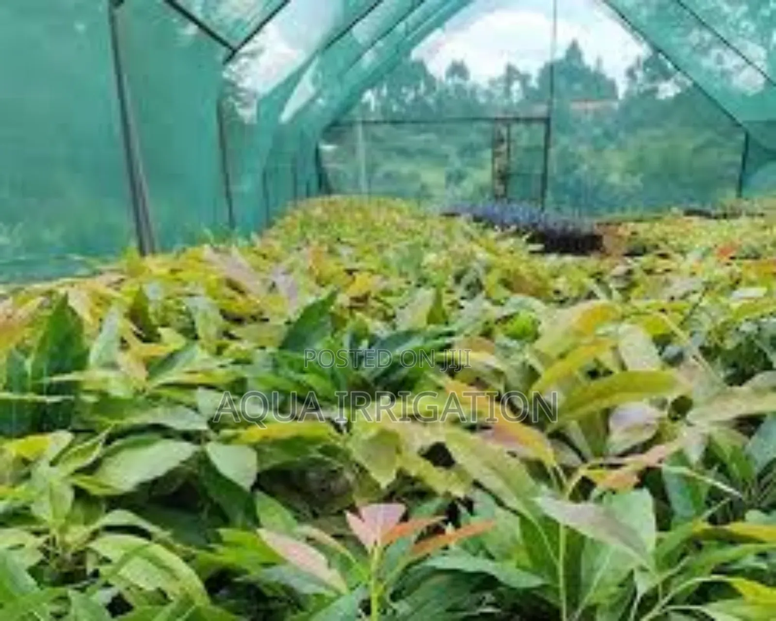 Customizable Shade Nets for All Growing Needs"