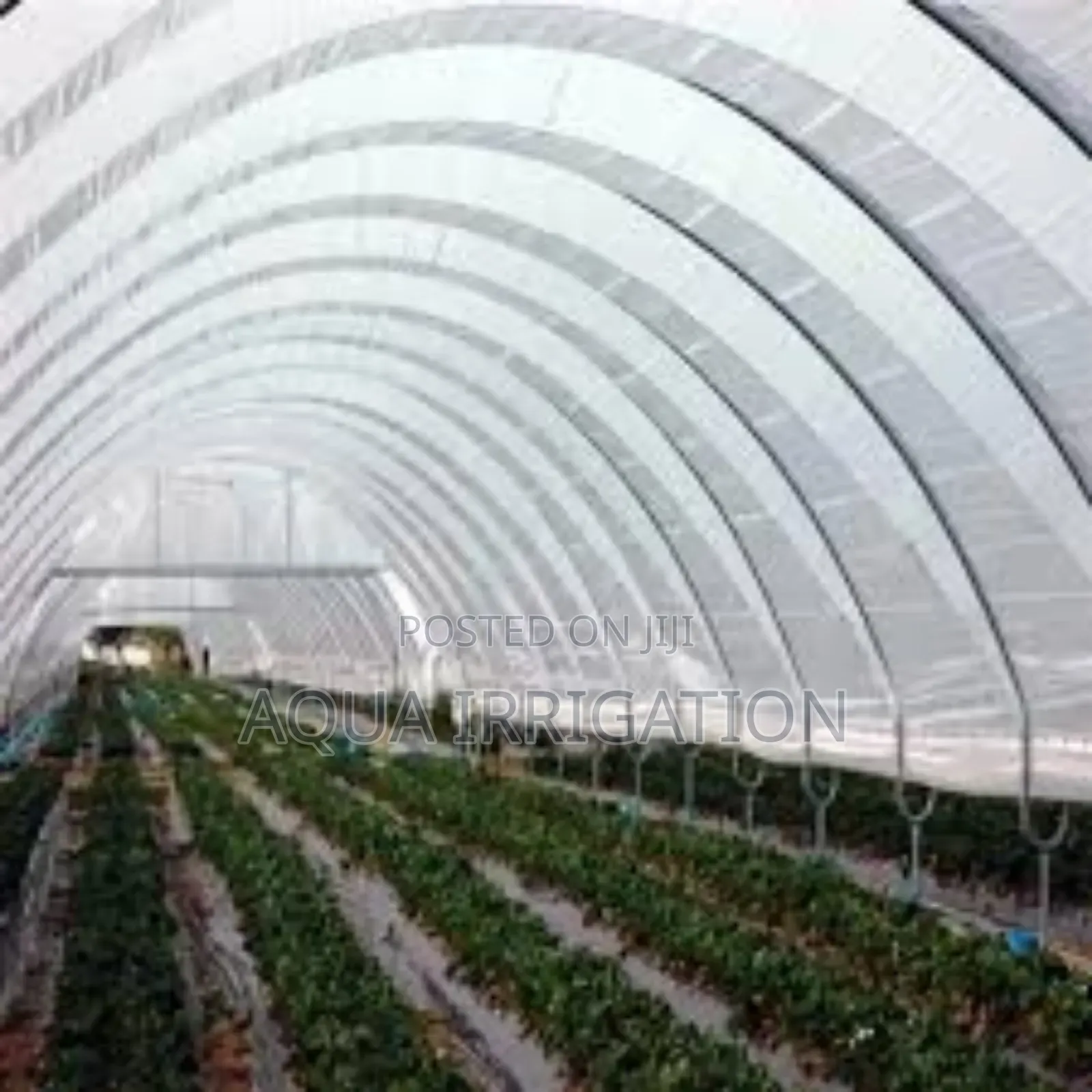 Protect Your Crops Year-Round With Quality Greenhouse Covers