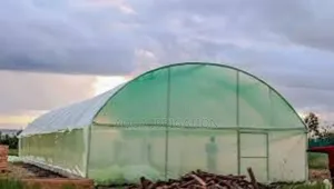 Boost Plant Growth With Uv-Stable Greenhouse Covers