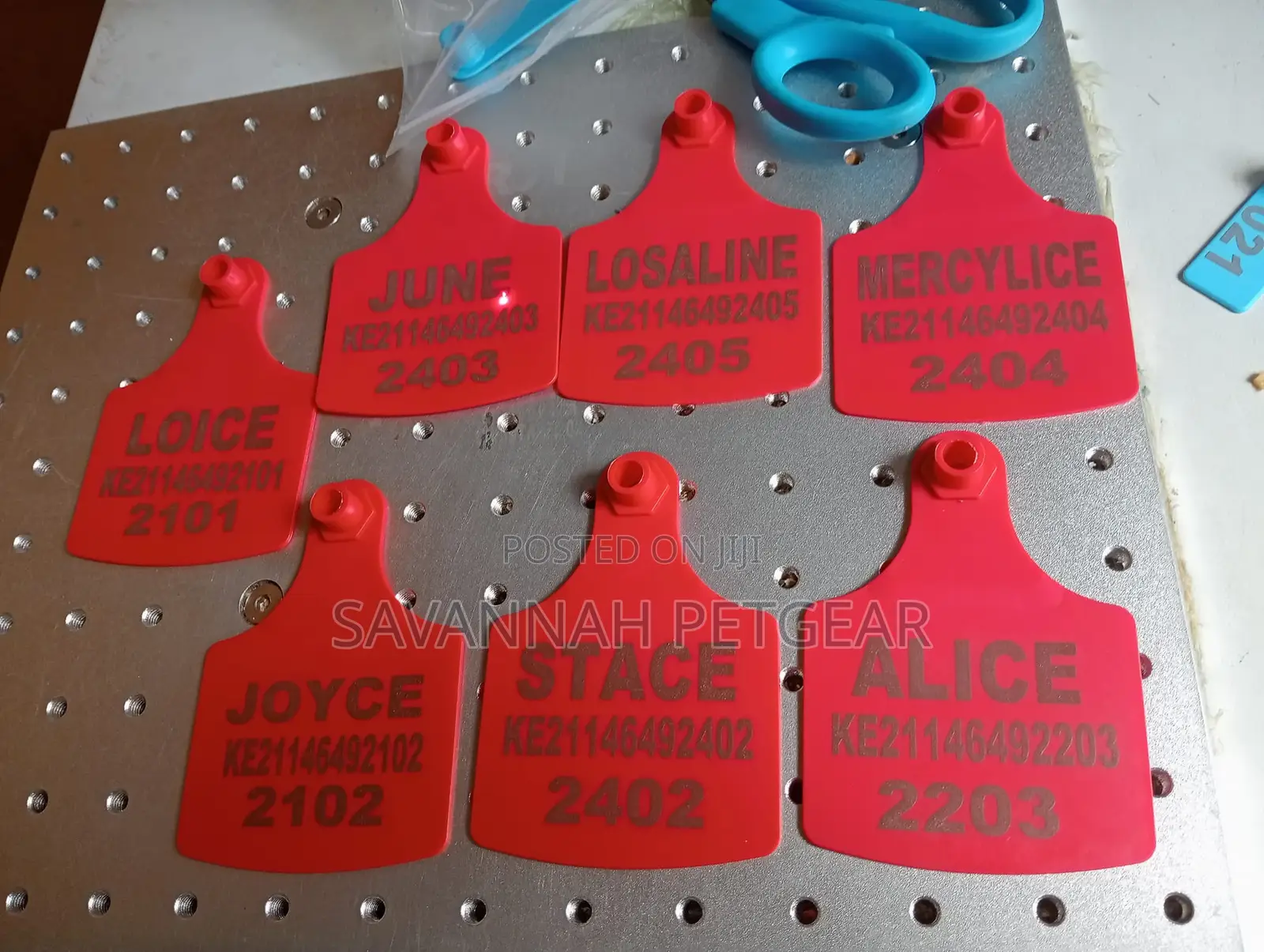 Laser Custom Printed Customized Ear Tags for Cattle Cows