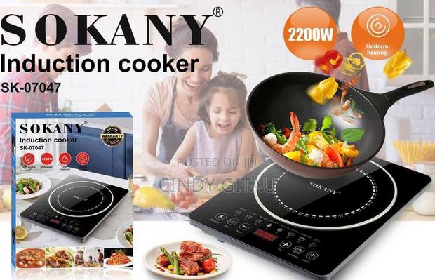 Single Plate Induction Electric Cooker