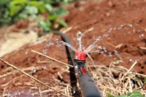 Button Drippers for Targeted Plant Hydration
