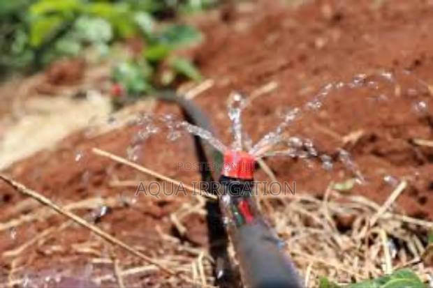 Button Drippers for Targeted Plant Hydration - main view