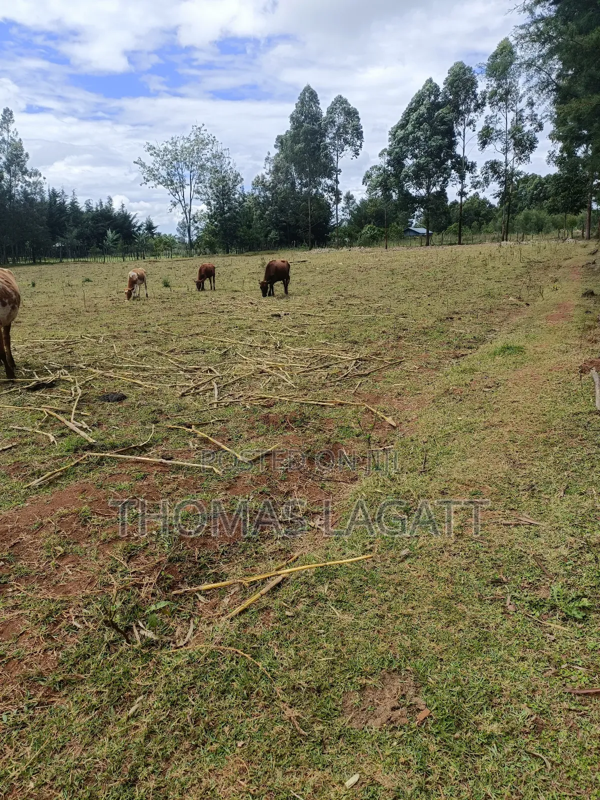 Eldoret 1⁄2 Acre Piece of Land on Sale at Eldoret OUTSPAN