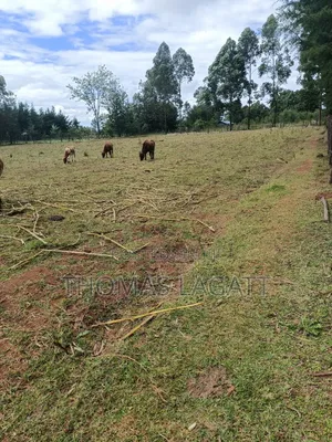 Eldoret 1⁄2 Acre Piece of Land on Sale at Eldoret OUTSPAN