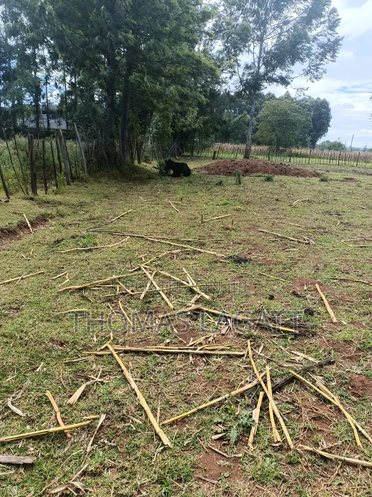 Eldoret 1⁄2 Acre Piece of Land on Sale at Eldoret OUTSPAN