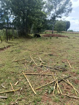 Eldoret 1⁄2 Acre Piece of Land on Sale at Eldoret OUTSPAN