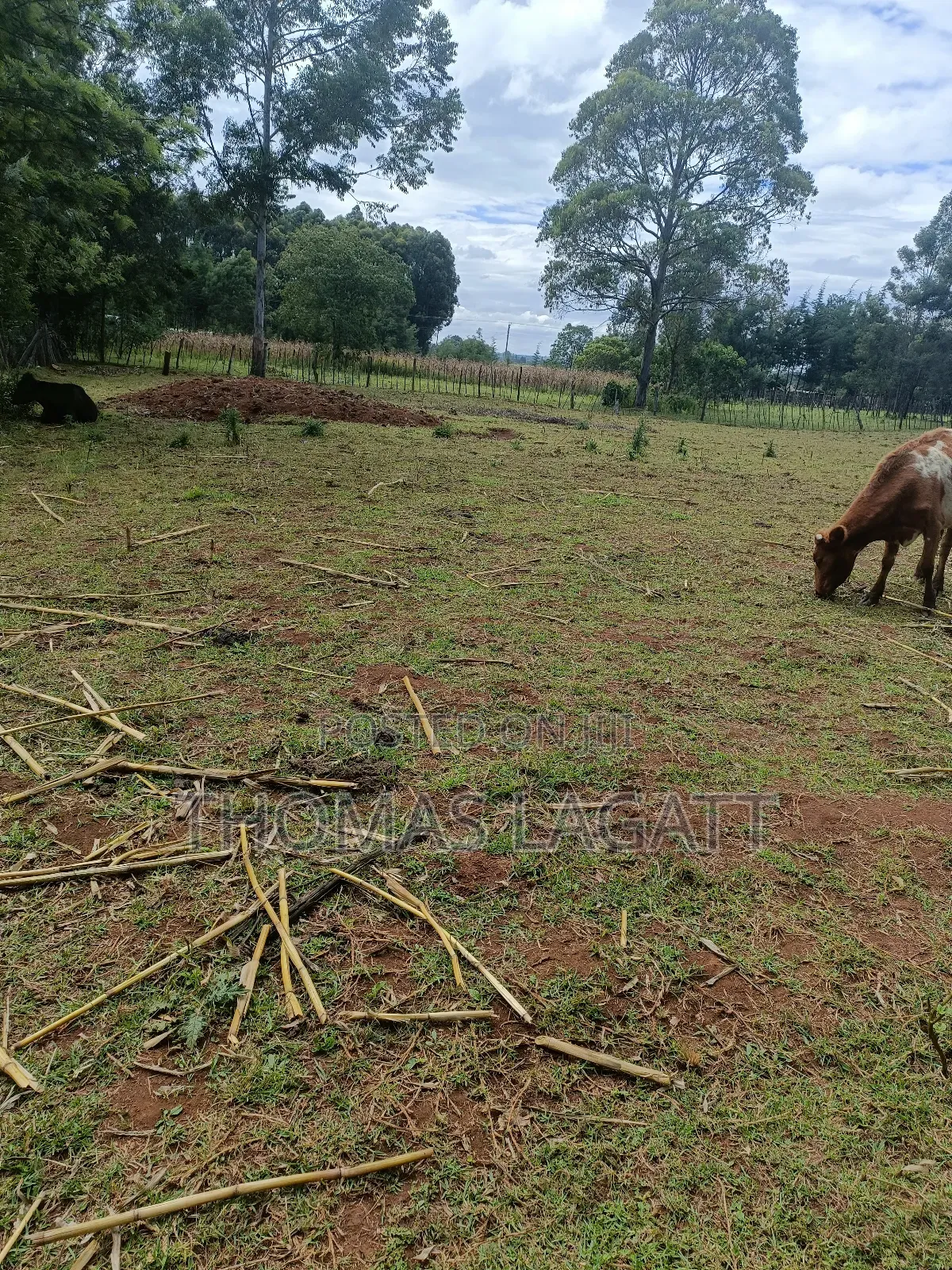 Eldoret 1⁄2 Acre Piece of Land on Sale at Eldoret OUTSPAN