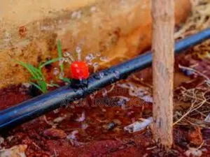 Precision Irrigation With Adjustable Button Drippers