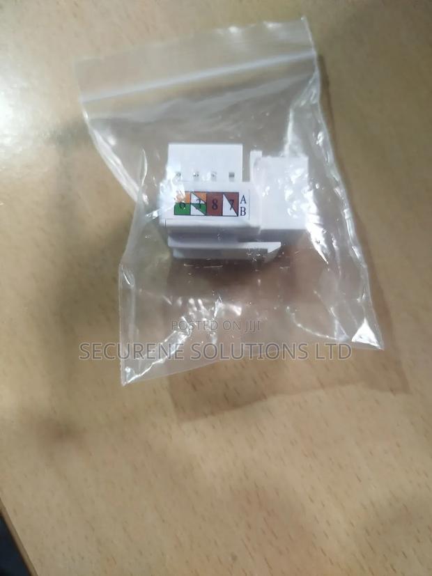 Network Module Cat 6