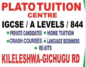 Tuition Igcse , a Levels