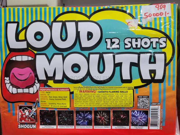 12 Shots Loudmouth Fireworks - main view