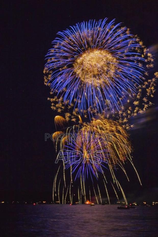 12 Shots Loudmouth Fireworks - thumbnail 2