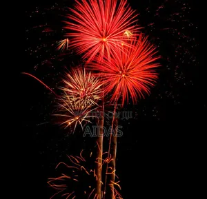 25 Shot Damn Good Firework