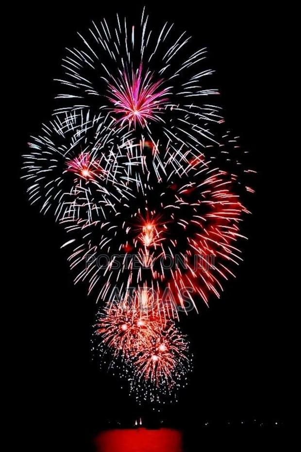 Party on Celebration Firework - thumbnail 3