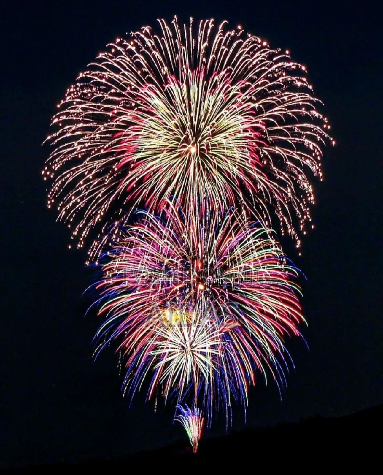 42 Shot Celebration Firework