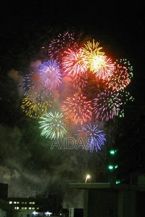 19 Shot Colorful Firework