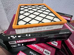 Ford Raptor Air Filter