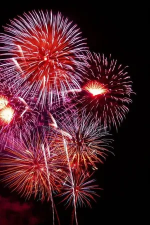 25 Shots Red Velvet Fireworks for Club Use