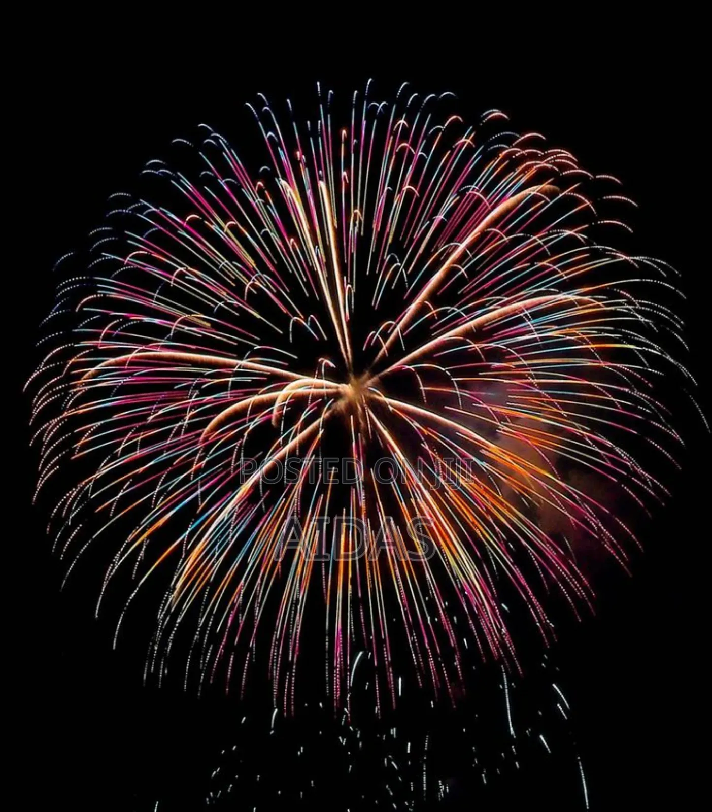 19 Shot Bonnie and Clyde Firework