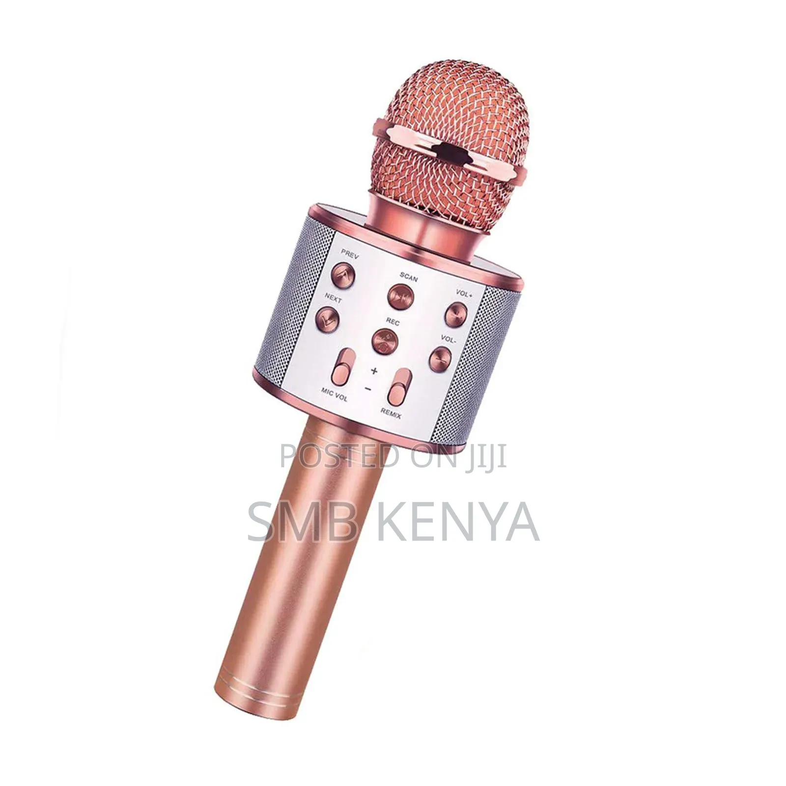 Handheld Karaoke Microphone Speaker