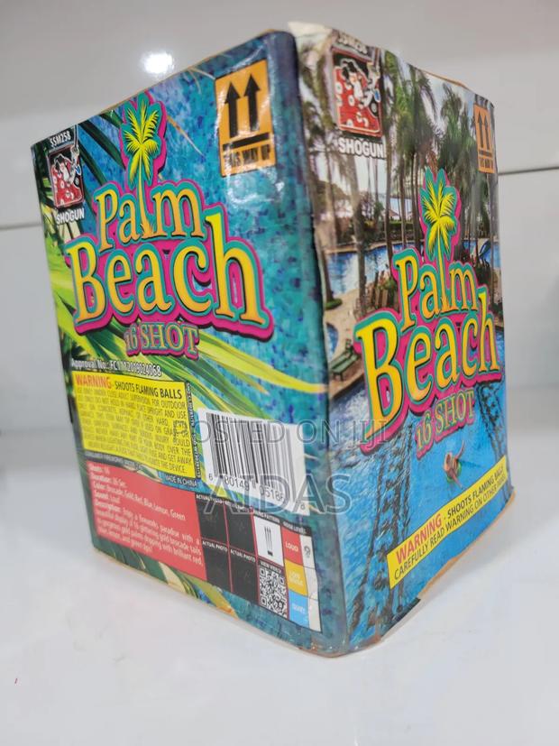 16 Shot Palm Beach Firework - main view