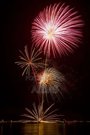16 Shot Palm Beach Firework