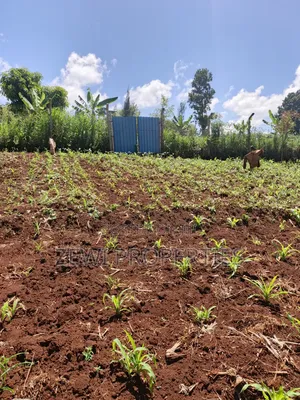 Half Acre Upper Matasia