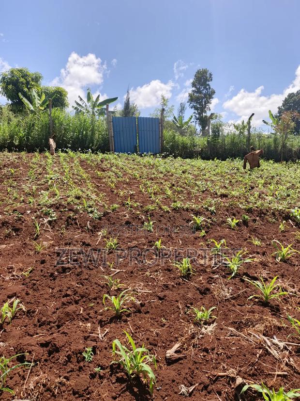 Half Acre Upper Matasia - thumbnail 3