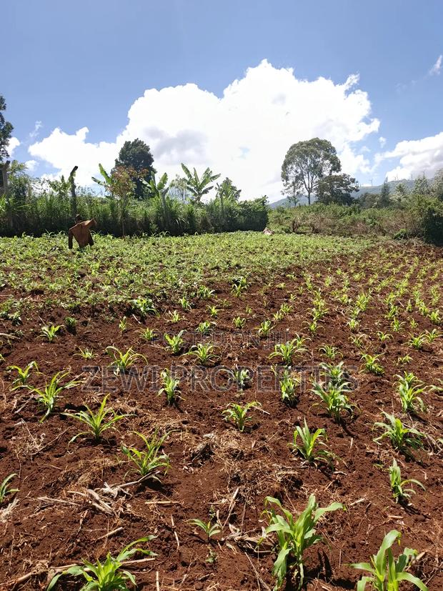 Half Acre Upper Matasia - main view