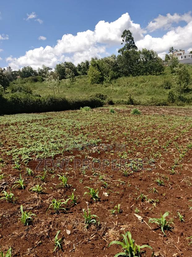 Half Acre Upper Matasia - thumbnail 4