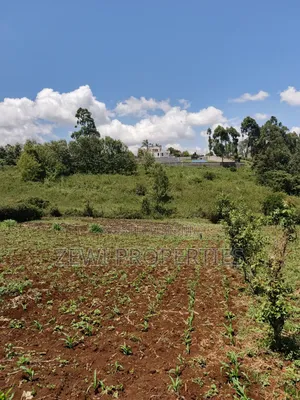 Half Acre Upper Matasia